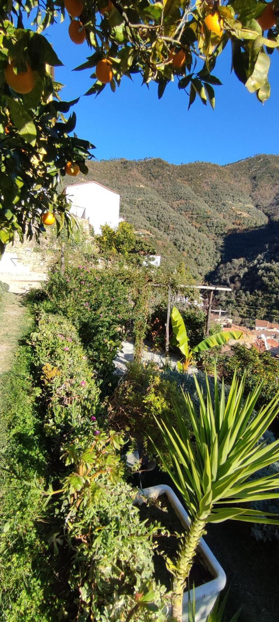 Casa Pablo Villa Badalucco Bagian luar foto